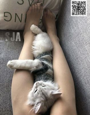 出路纪录片免费观看完整版_DVD高清迅雷在线观看