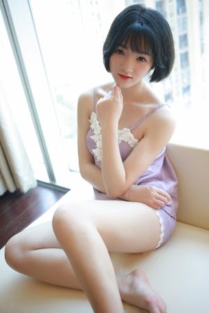 杨门女将之穆桂英挂帅_DVD高清在线