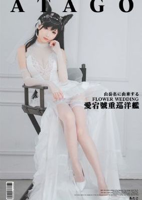 奇人奇案电视剧免费完整版_国产在线观看